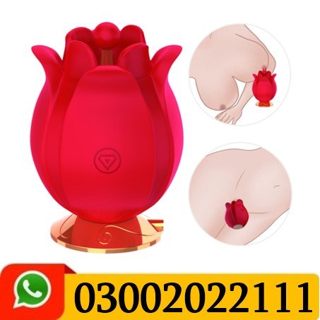 Rose Multi-Frequency G spot Sucking Vibrating Egg In Pakistan