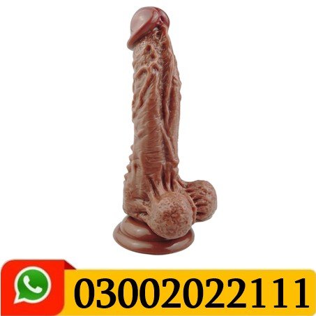 Cock Of Old Men In Pakistan