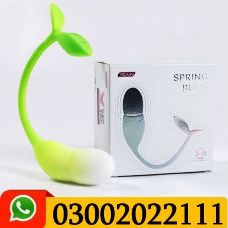 Spring Sprout Jumping Egg In Pakistan