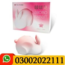 Bobo Rabbit Price in Pakistan