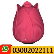 Rose Vibrator With Particle Sucking Mouth